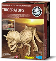 Triceratops 00-03228
