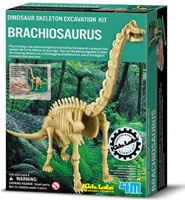 Brachiosaurus 00-03237