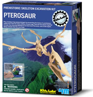 Pterosaur 00-13238