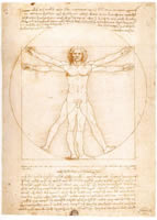 15250 Leonardo Da Vinci: El Hombre