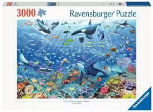 Mundo Submarino  - Romp. 3000 Pz Ravensburguer
